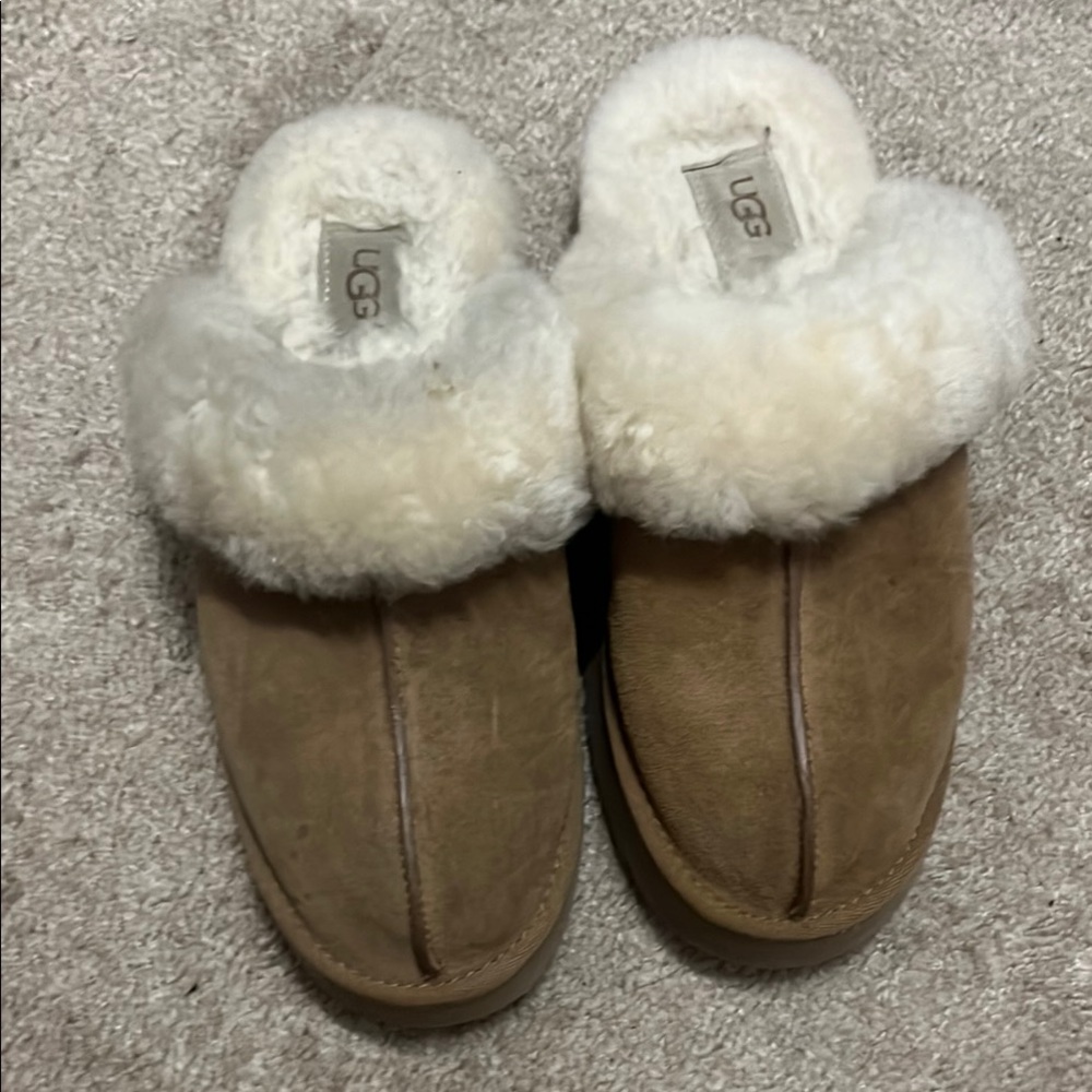 UGG Sheepskin Slippers